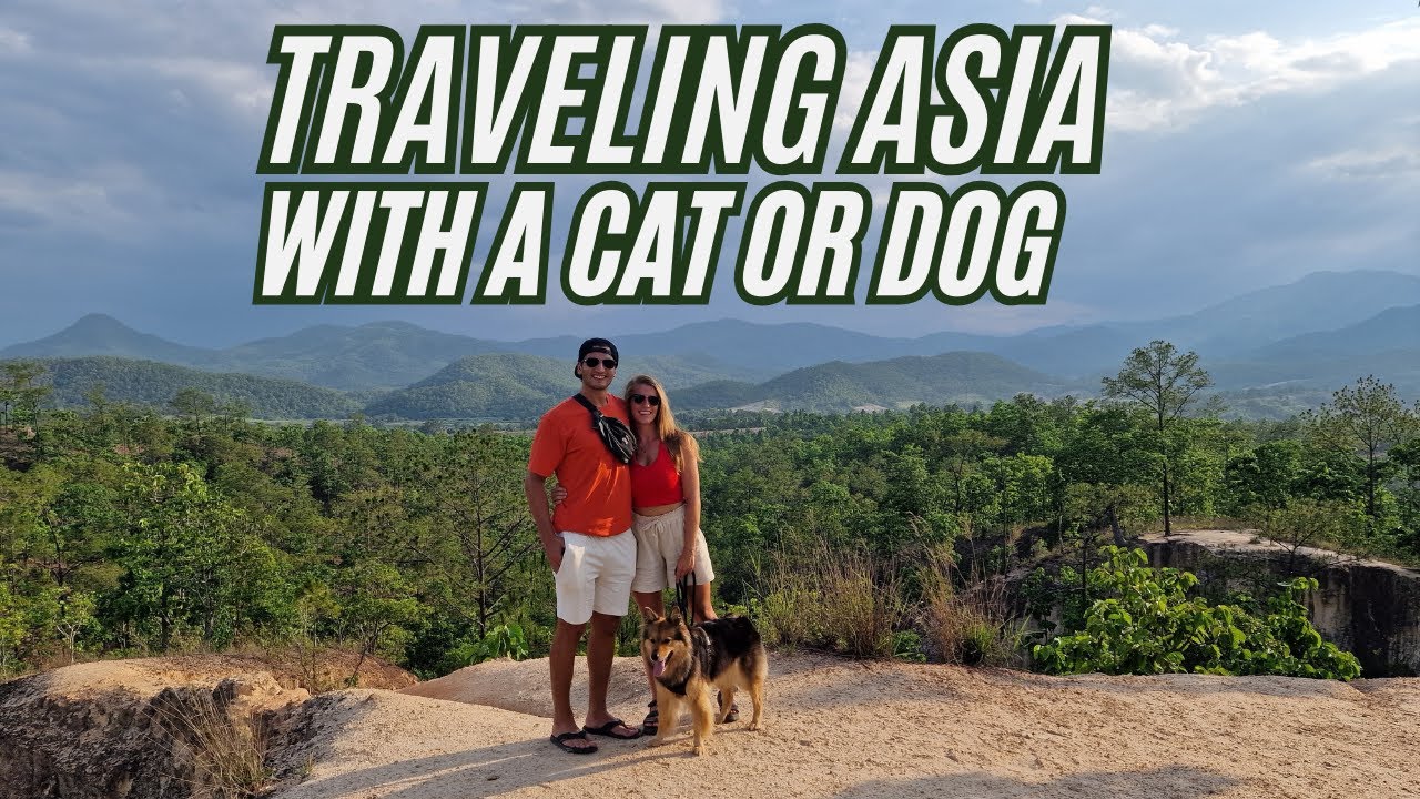 Traveling With Your Pet in ASIA