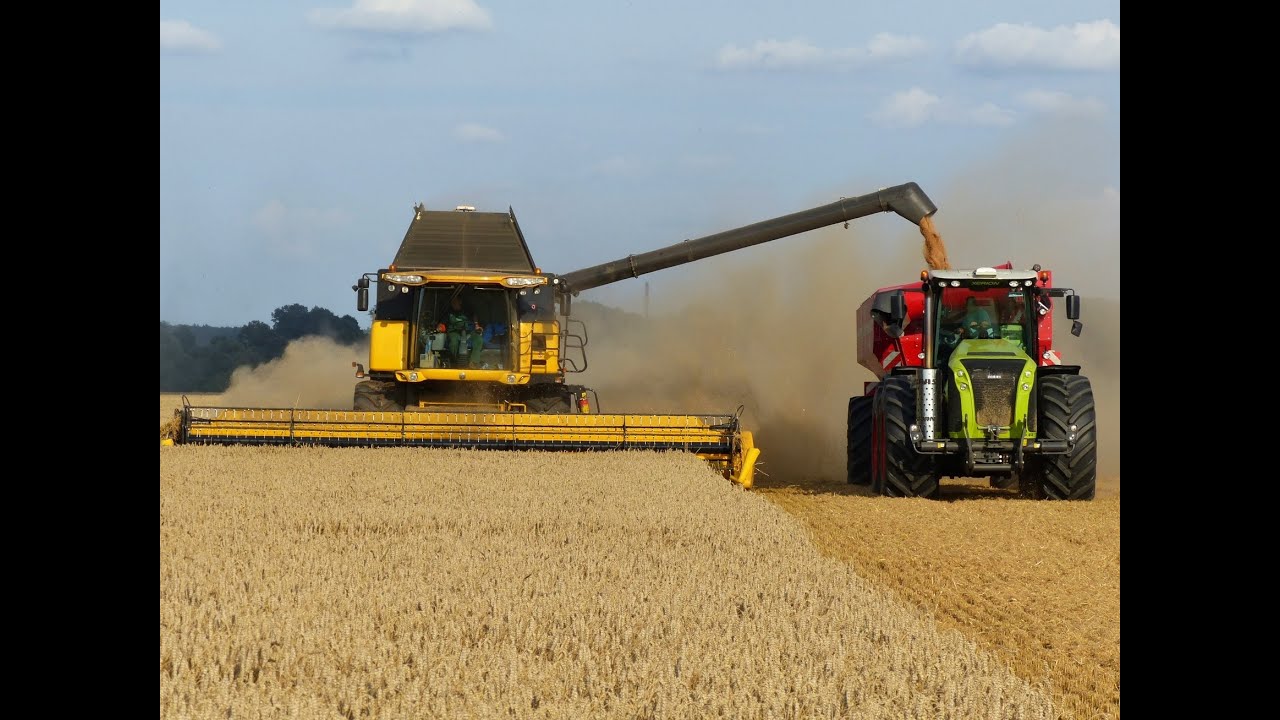 Wielkie Żniwa Stary Jaworów 2014 Milikowice | Big Harvest in Poland | 5x Lexion | 2x CR 9090