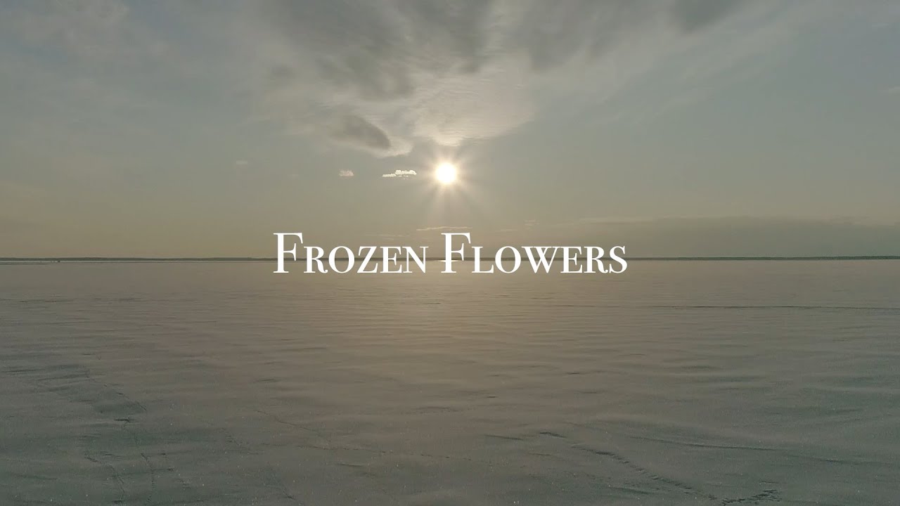 Frozen Flowers 2023 full ver.