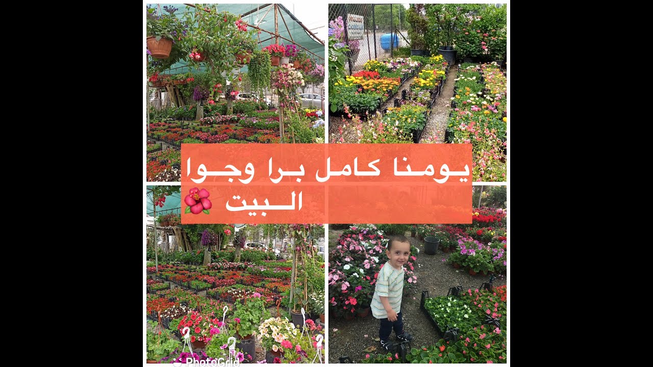 احلى مشاتل ورود في تركيا