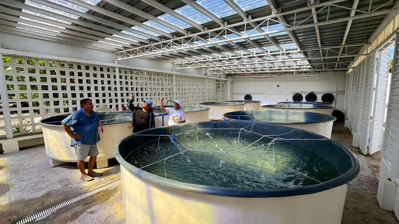 The Philippines' Most Hi-Tech, Advance MUD CRAB HATCHERY! First Time Ipapakita sa Public