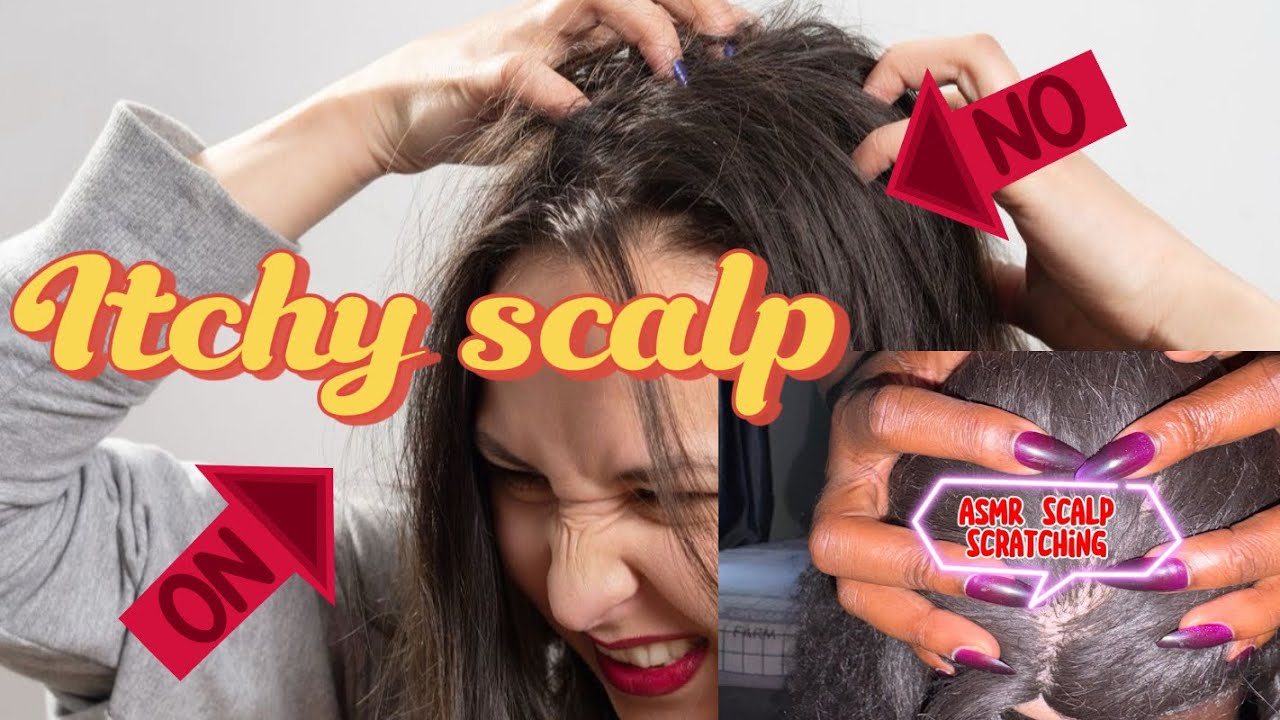ASMR HAIR PULLING | NO TALKING | SCRATCH SESSION TINGLES
