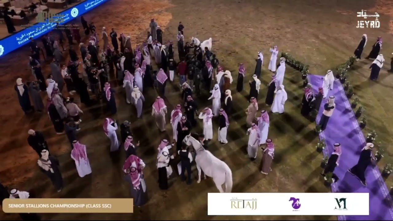 Crowning The Champions Senior Stallions Championship Class SSC