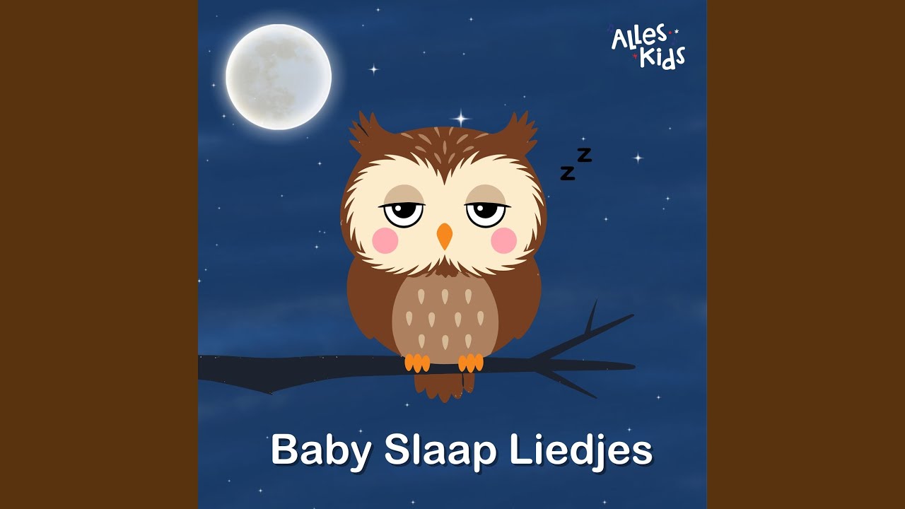 Mary had a little lamb (Music Box Lullaby Sleep Music)