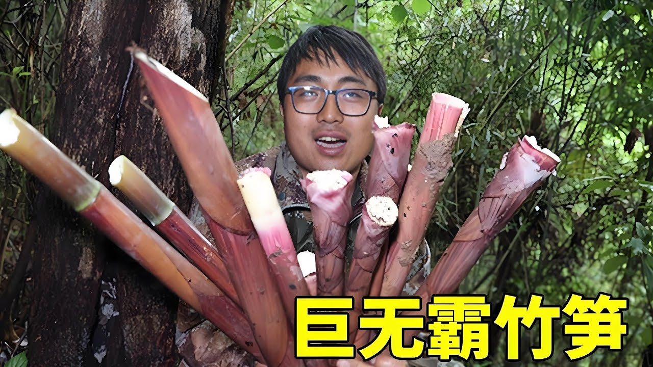 湘西山区开始长山竹笋了，冬宝搞一把巨无霸，回家炖排骨，真美味！【湘西冬宝】
