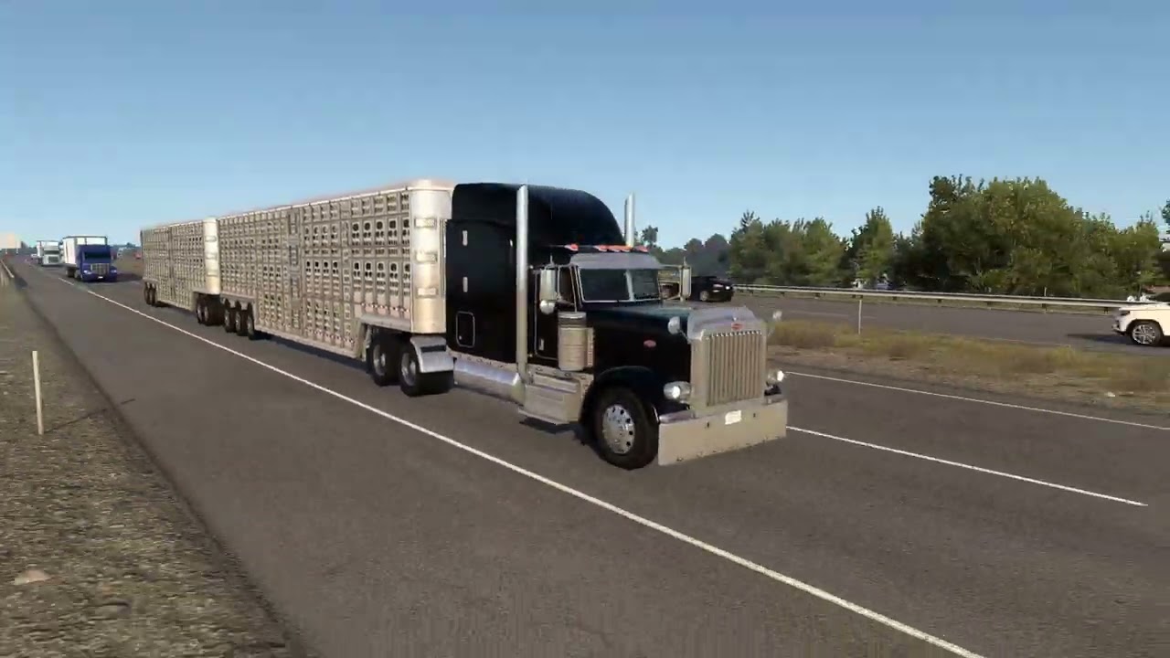 American Truck Simulator - Transportando gado vivo com Peterbilt 389 no rodotrem 