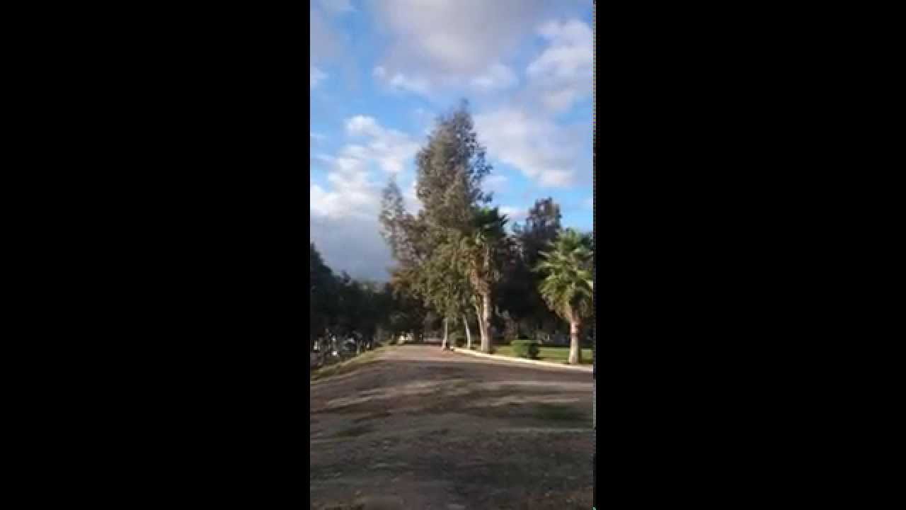 ant250 con  tripalas