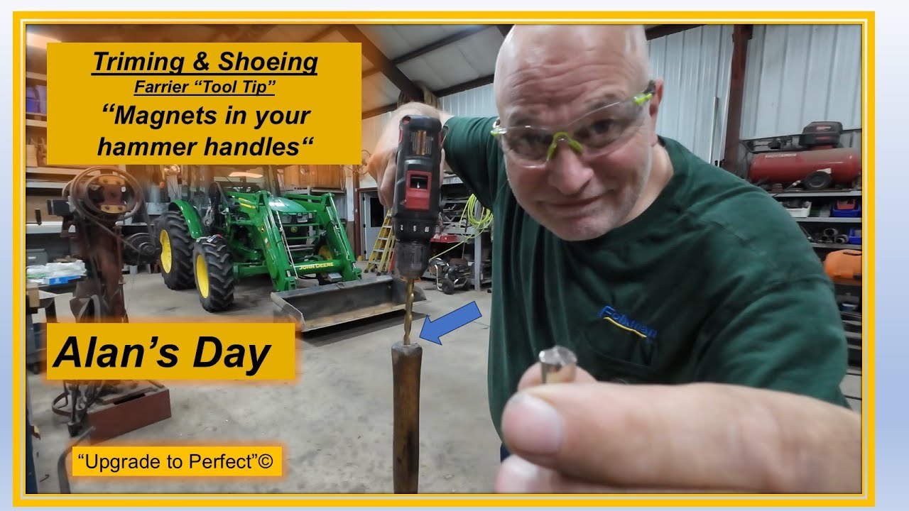 Alan's Day - Trimming & Shoeing   