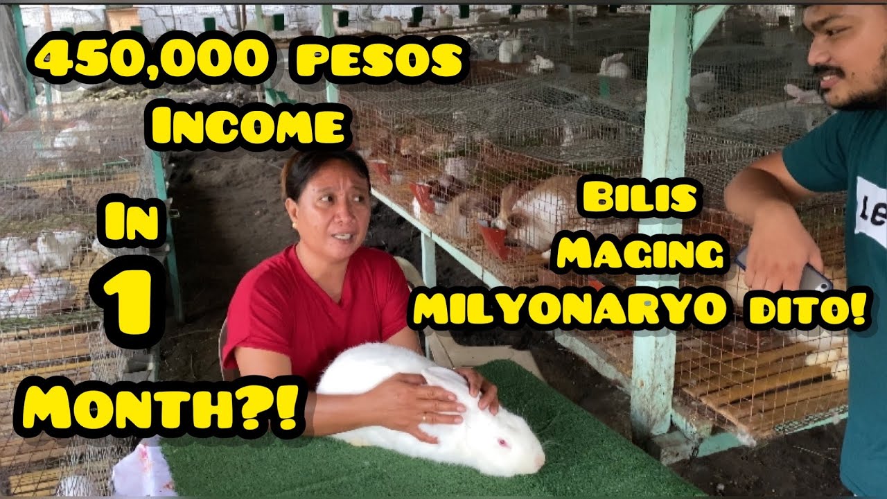 450,000 PESOS INCOME IN 1 MONTH DAHIL SA 3 NA RABBIT?!