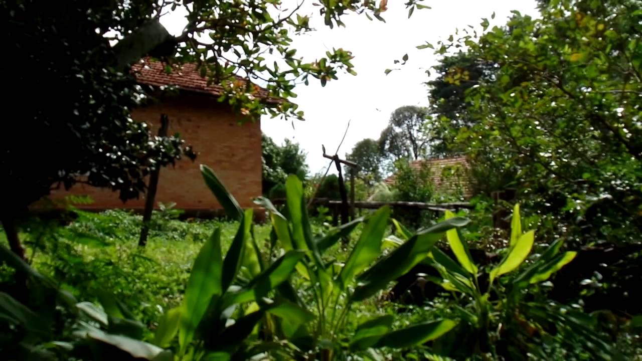 Sabi&aacute;s do Sert&atilde;o - de Ponto a Ponto - Mirand&oacute;polis