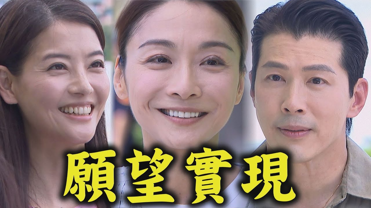【願望】EP290 大結局!詩涵.顧成天上重聚 世宗.美妍終於和好 麗紅出獄勝強感動