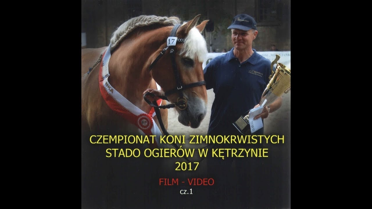 Czempionat Koni Zimnokrwistych - Kętrzyn 2017 - cz.1