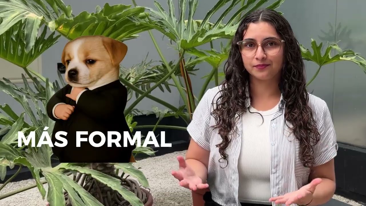 Can y May en inglés explicados fácil| THINK-E VOCABULARIO