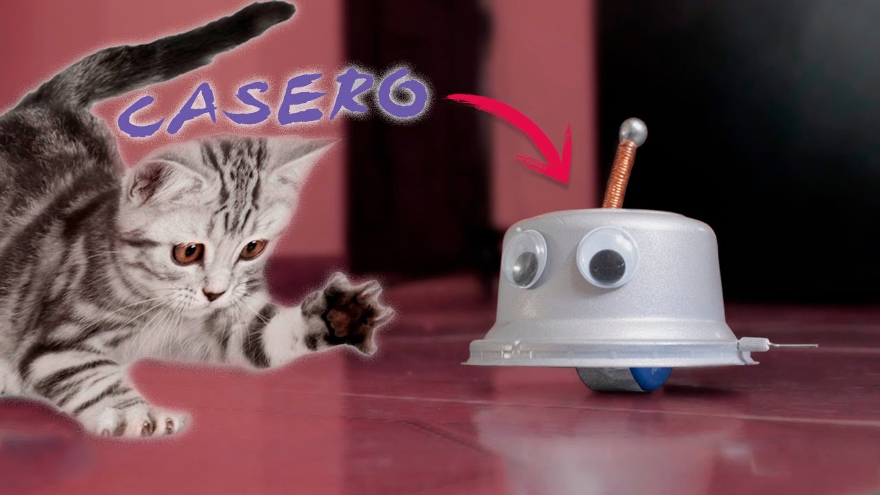 Juguete Casero para tu Mascota Muy Facil de Hacer