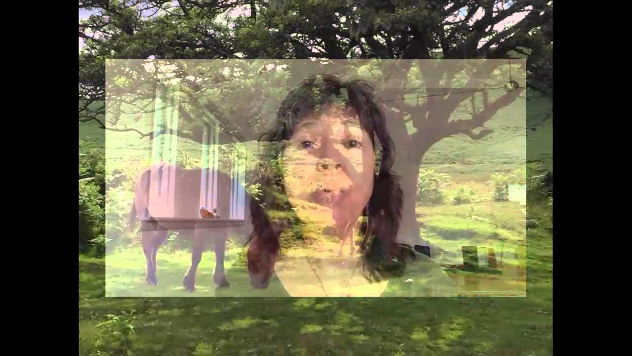 What is Perception
