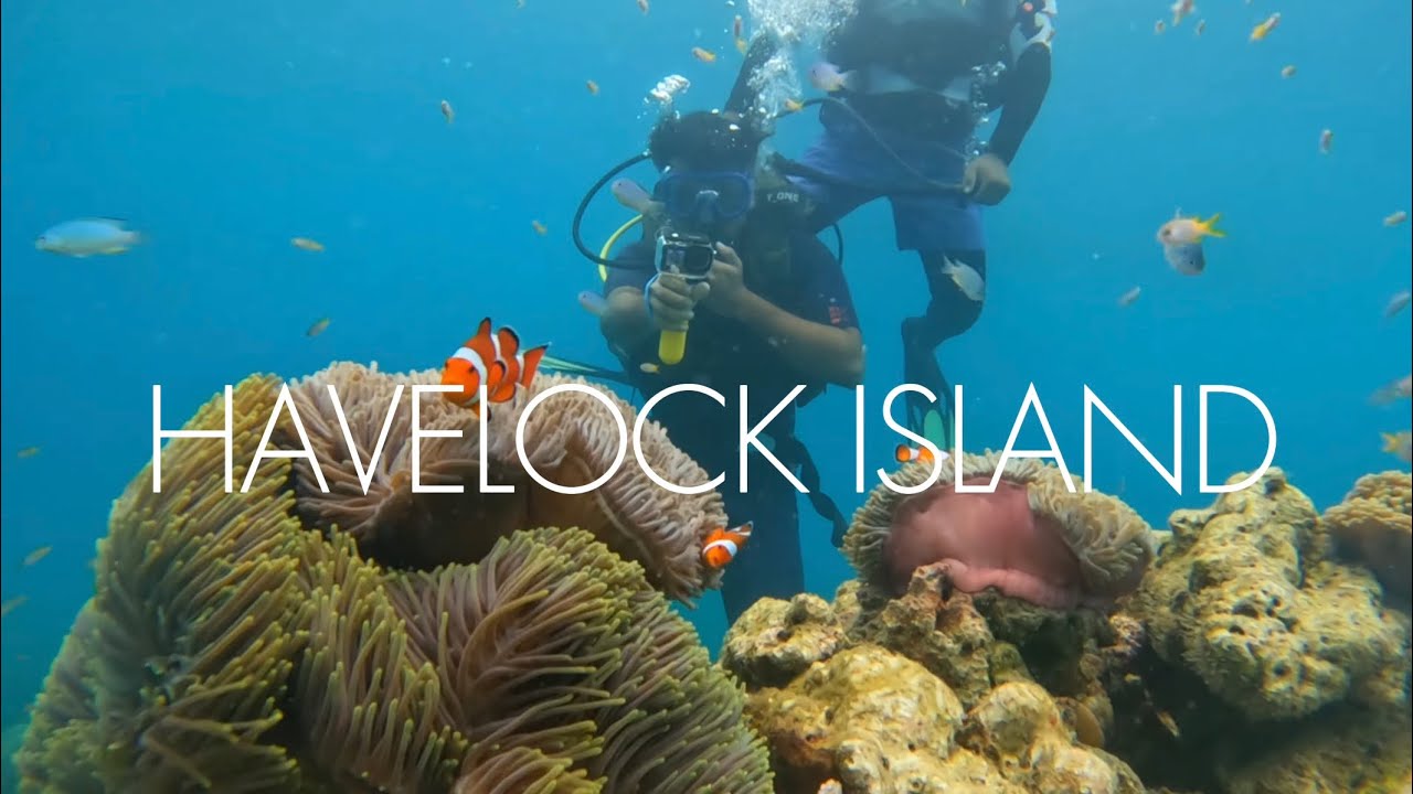 Scuba Diving in India’s Most Beautiful Island 🤿💙 | Havelock Island | Andaman Travel Vlog
