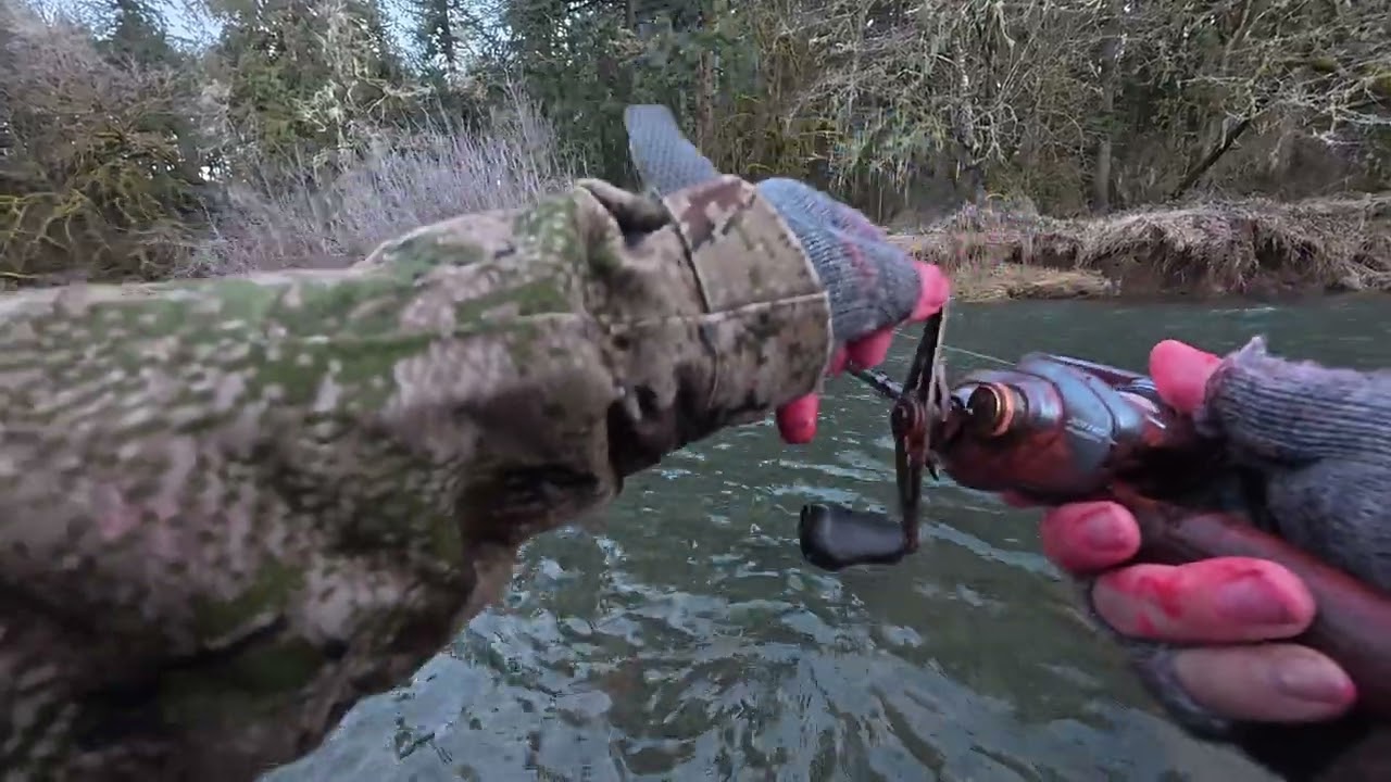 Nice wild cutthoat 