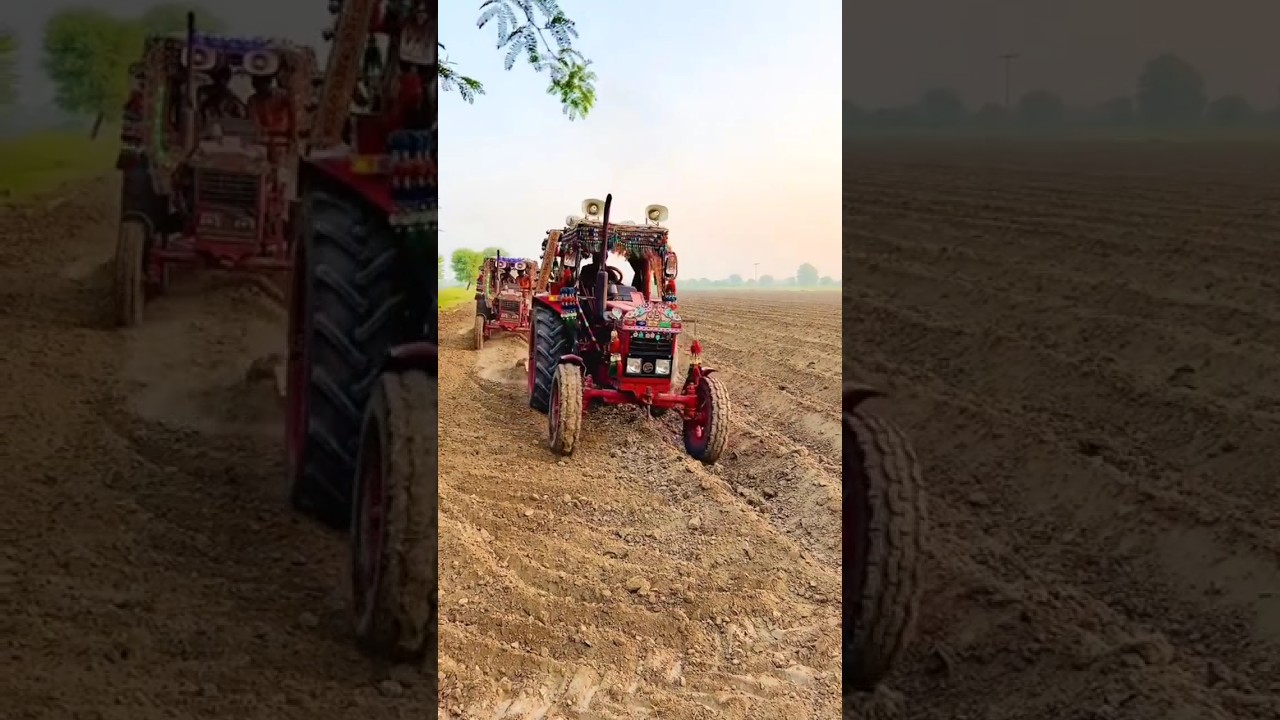 2 Belarus 510 tractors working in field #tractor #tractorcompetition #tractorlover