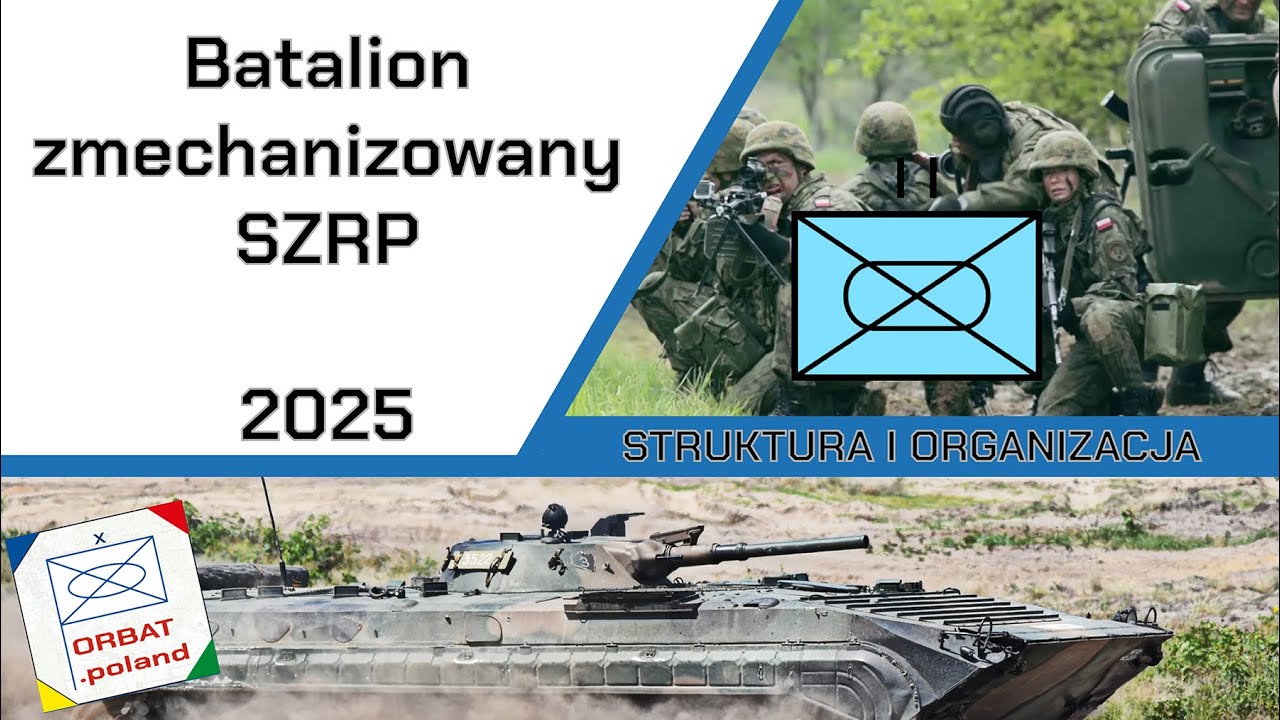 Batalion zmechanizowany SZRP - struktura i organizacja