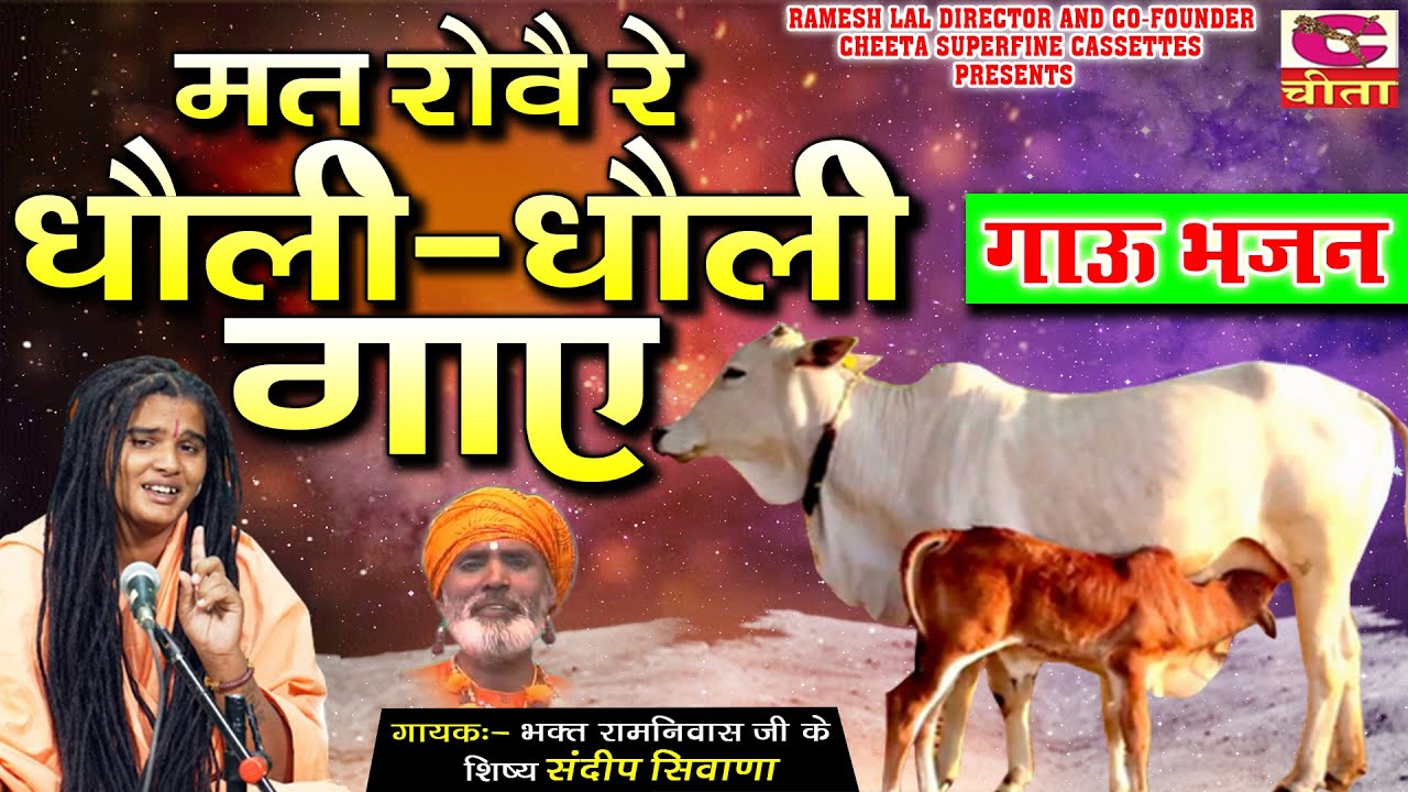मत रोवै रे धौली धौली गाए | Sandeep Siwana | गऊ माता का बहुत ही प्यारा भजन | भक्त संदीप सिवाना 2022
