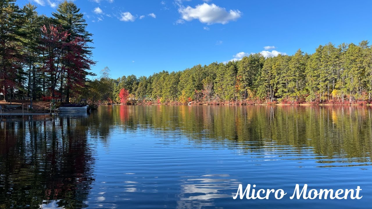 Fresh Water Channel | 60 Seconds of Peaceful Waters