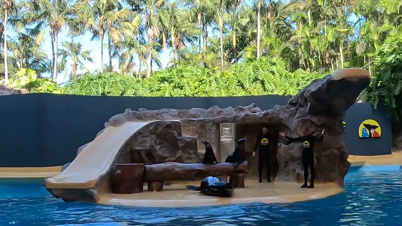 Loro parque