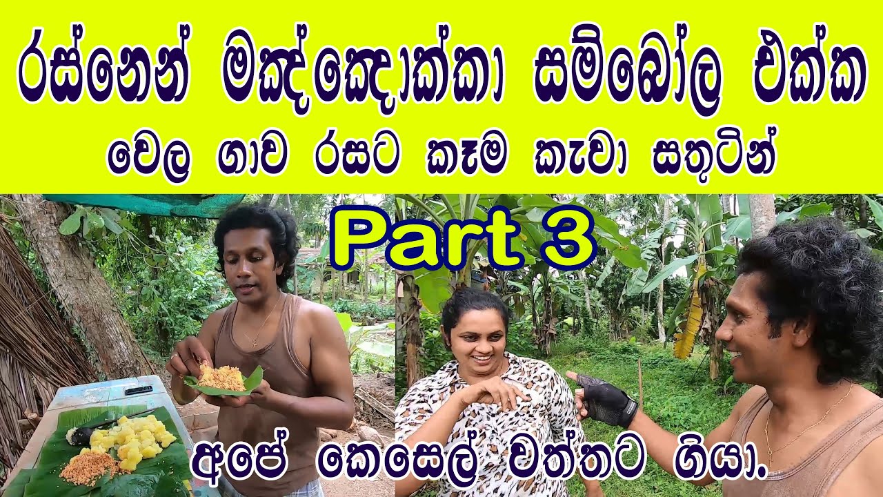 පොල් සම්බෝලයි මඤ්ඤොක්කයිත් ඇති ජීවිතය විඳින්න | Freedom