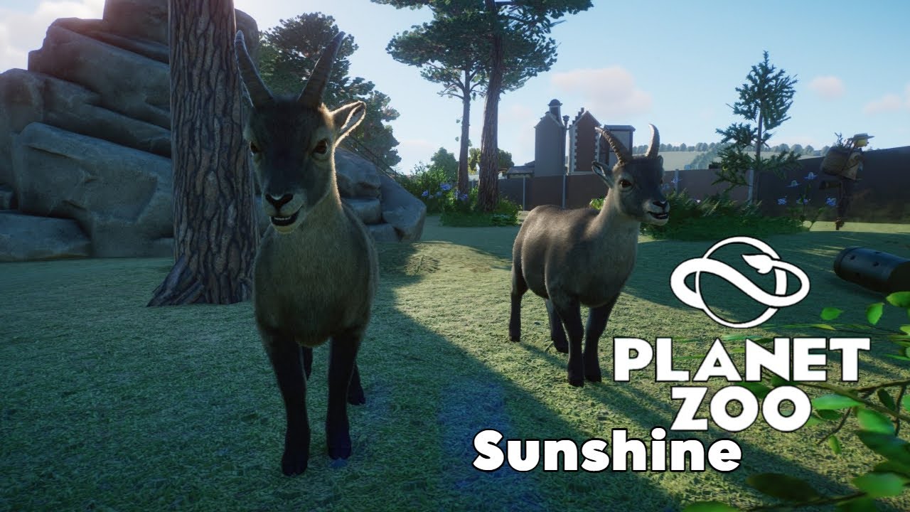 Alpensteinböcke kommen in den Zoo🐾Planet Zoo