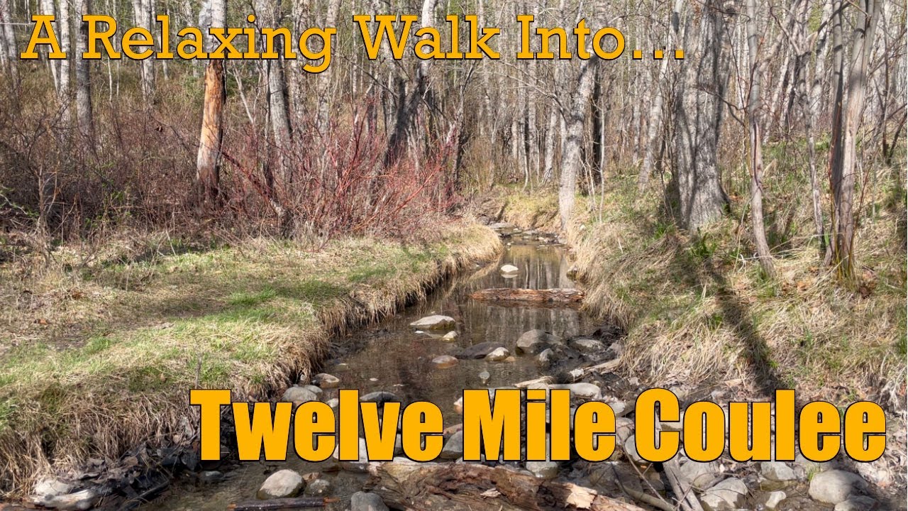 Relaxing Walk | Twelve Mile Coulee - Calgary, Alberta