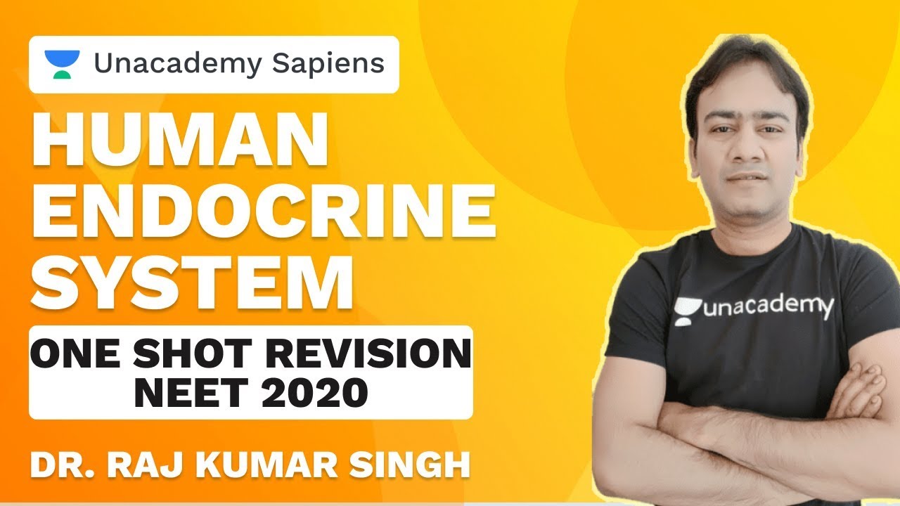 Human Endocrine System | One Shot Revision | NEET 2020 | Dr R K Sir | Unacademy Sapiens
