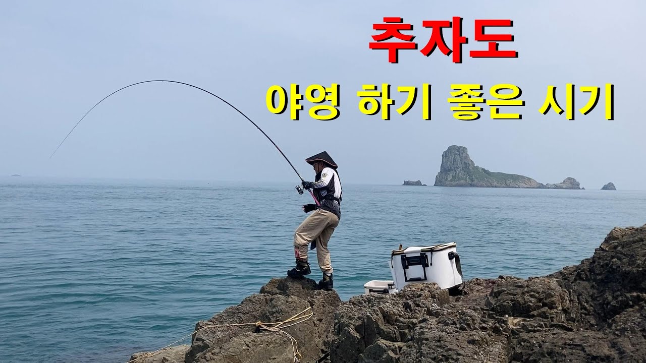 야영 하기 좋은 계절에 하추자도 돌돔급 뺀찌들이 나오기 시작 했습니다