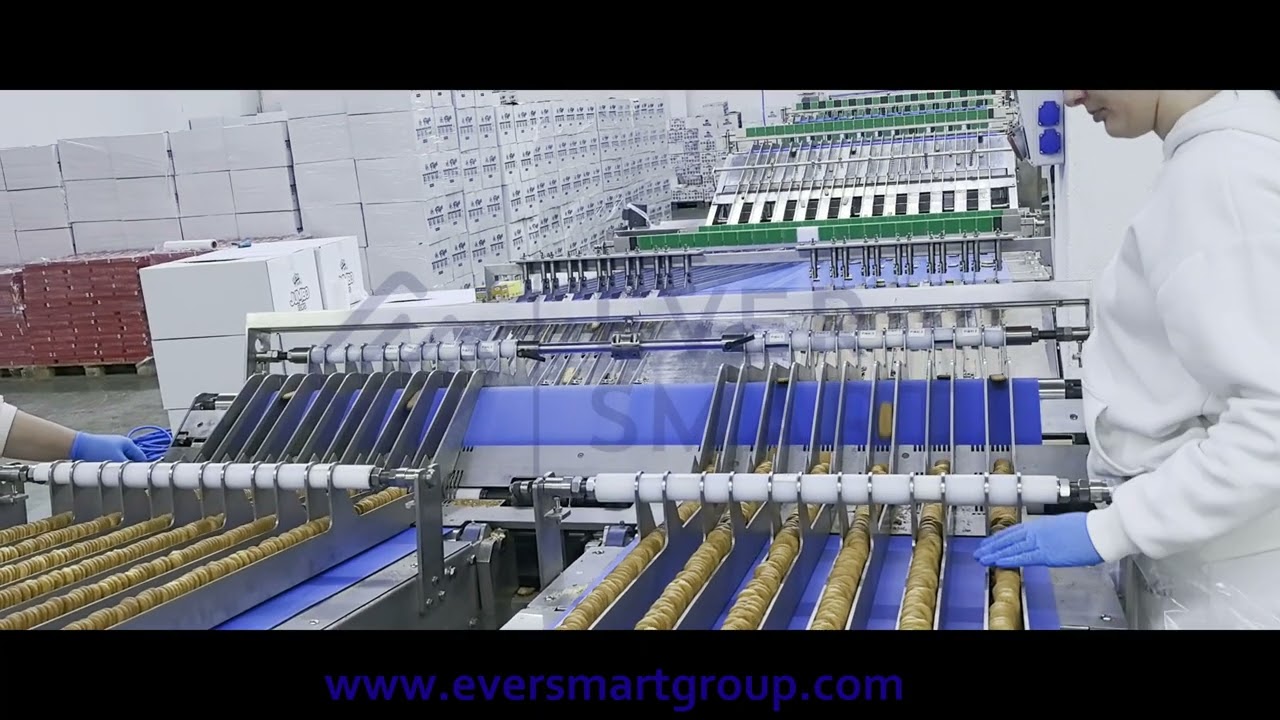Automatic Biscuit Feeding and Packaging System