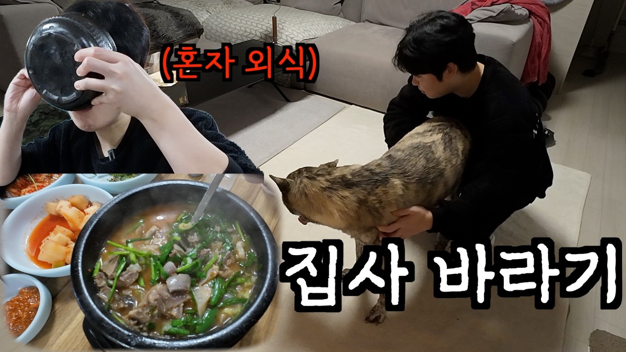 혼자 외식하는 집사