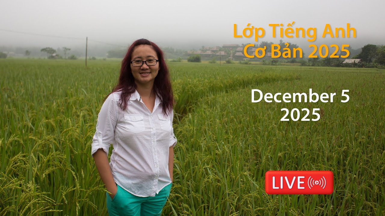 Study Basic English with TK - December 5, 2025 📱