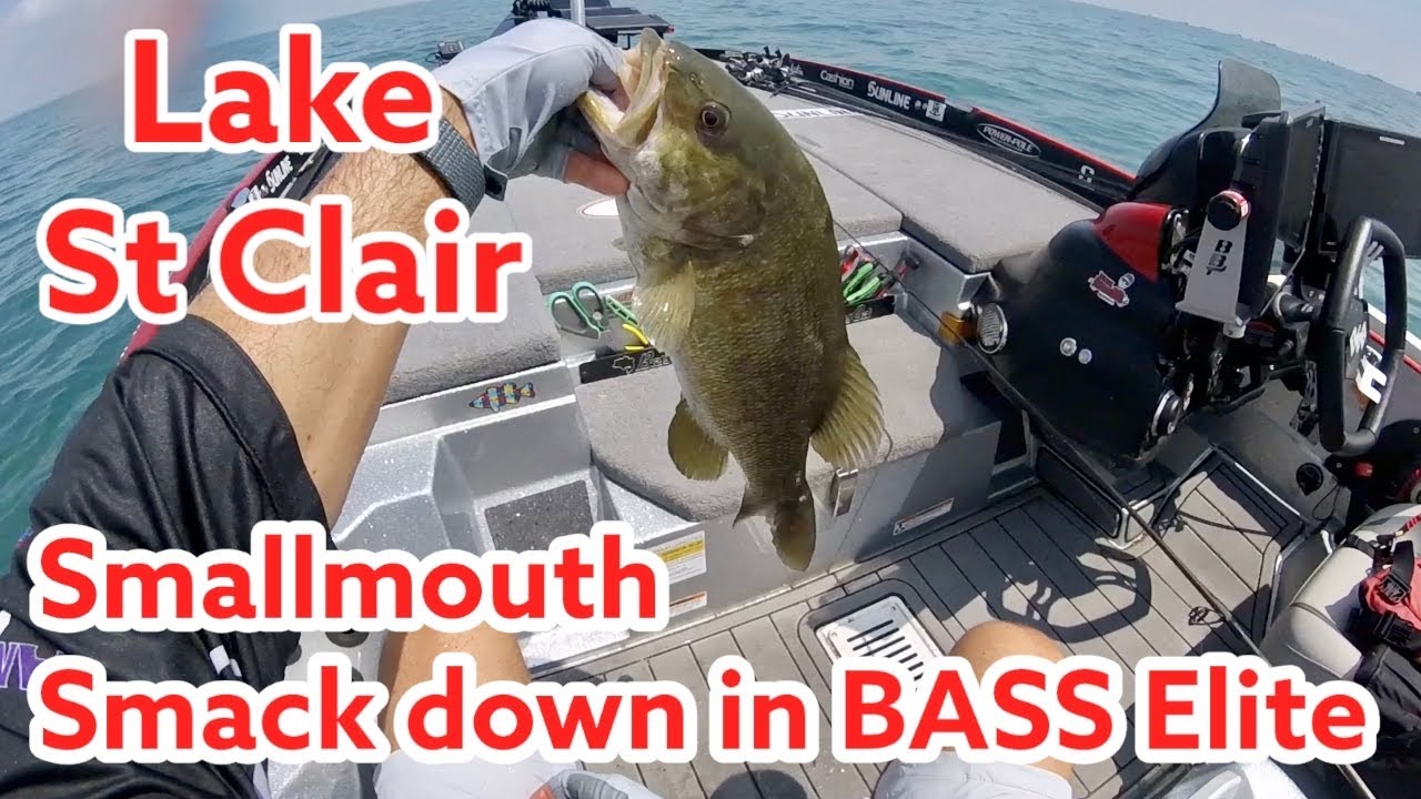 Smallmouth Smackdown at Lake St  Clair BASS Elite
