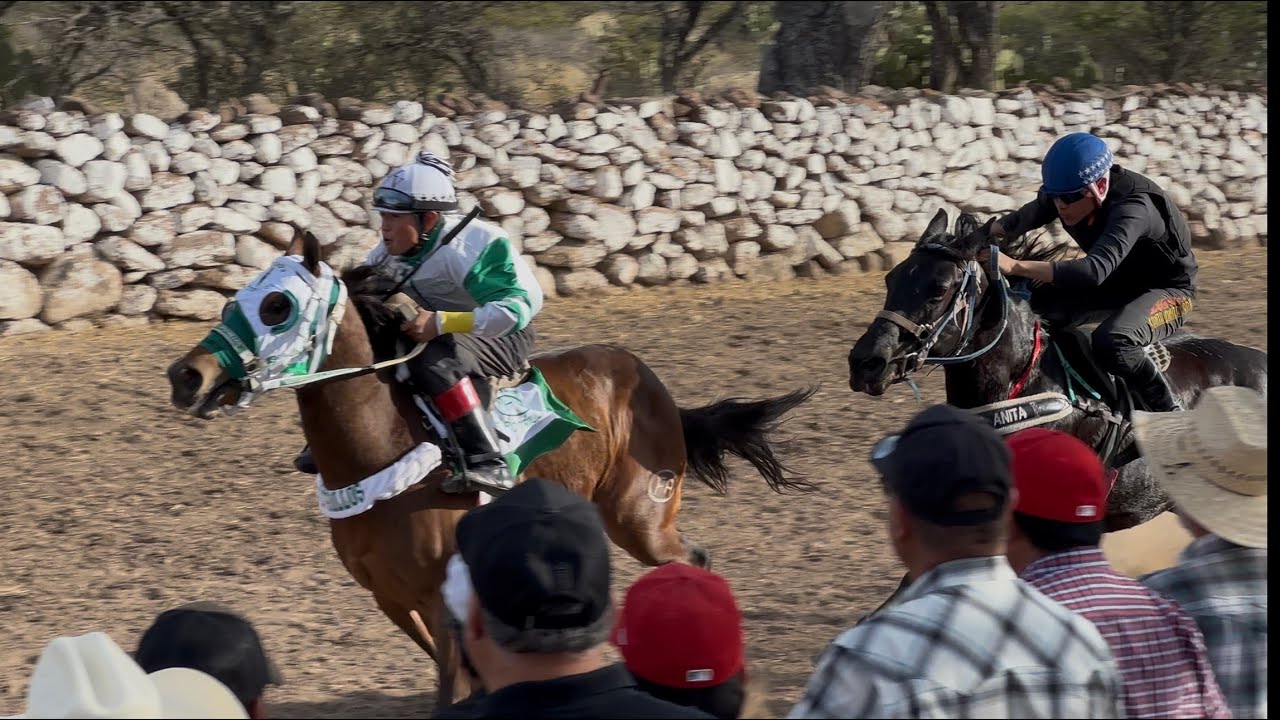 🐎Sensacionales Carreras de caballos 🐎  El Salto 2026