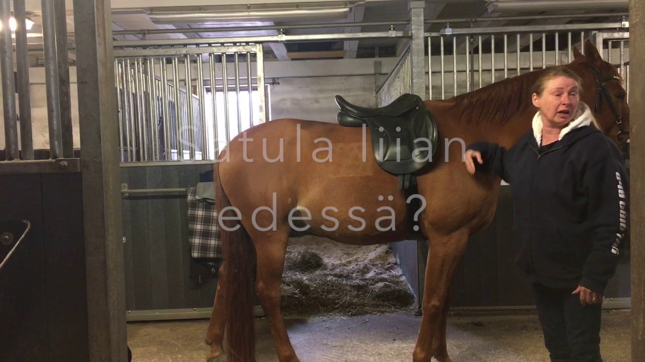 Satulaa etsimässä