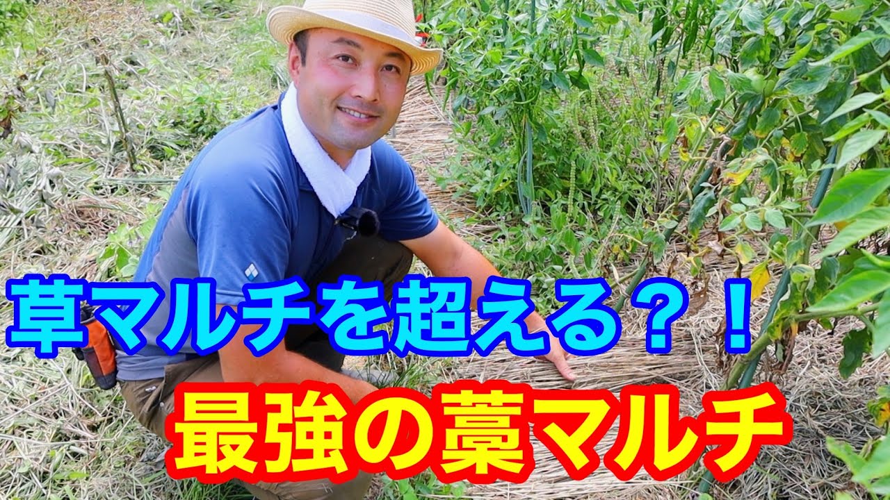 【自然農法】竹内さんに学ぶ草マルチを超える新テクニック「藁マルチ」！？