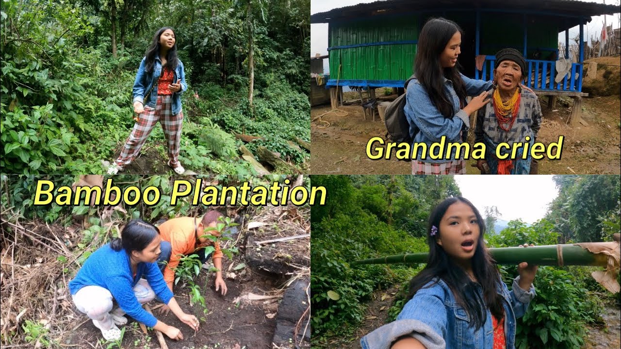 Revisiting my 100 year old Grandma/Bamboo Plantation 🎋/ Village life in Arunachal Pradesh 🇮🇳