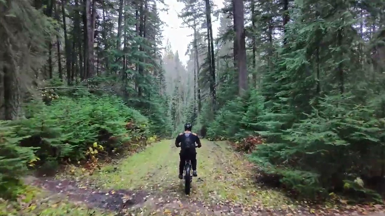IGO Outland Torngat Fat Tire Ebike at Otway