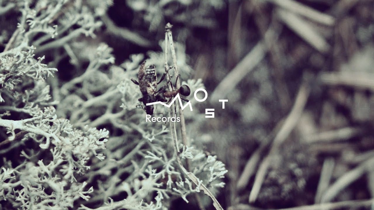 Hatti Vatti - Together