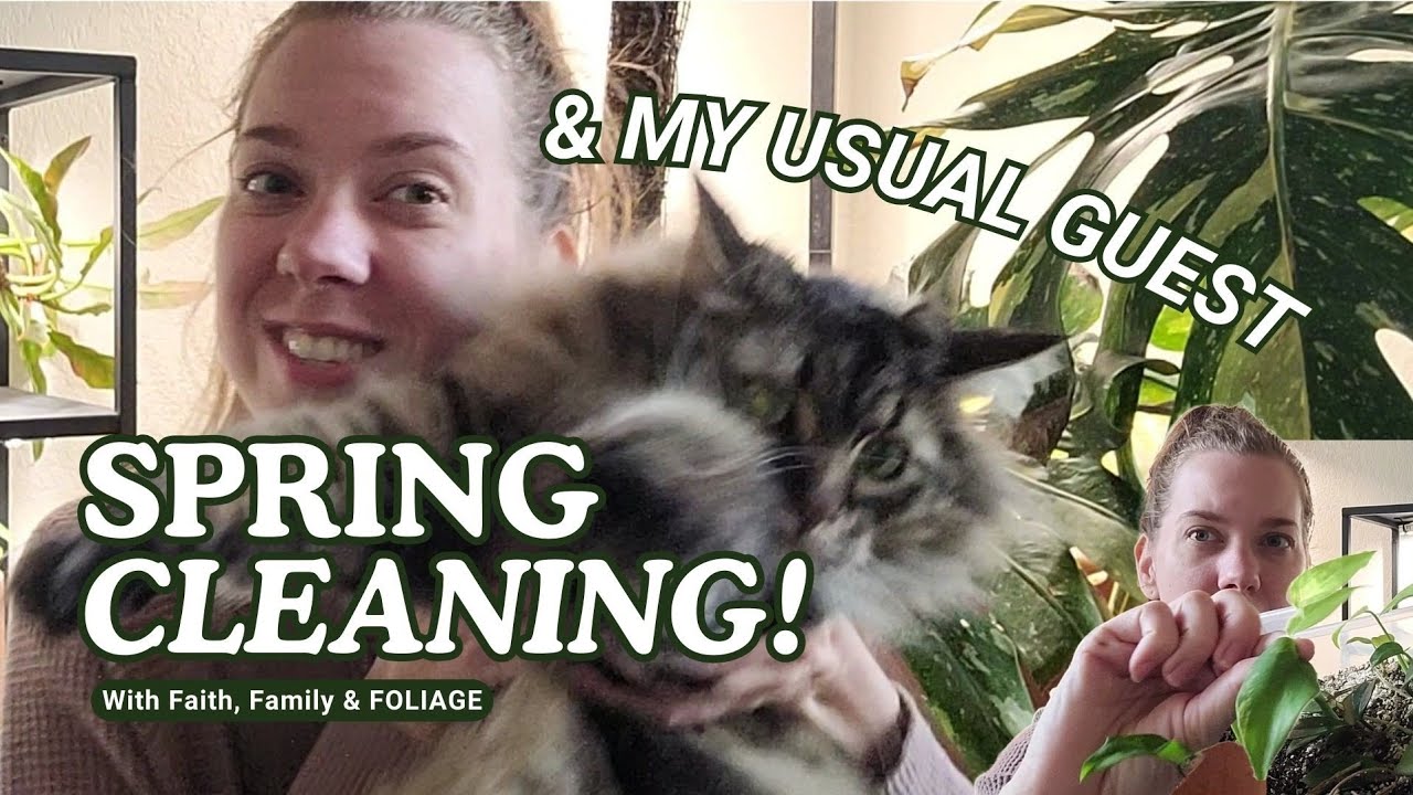 Spring Cleaning! Houseplant Edition 🪴