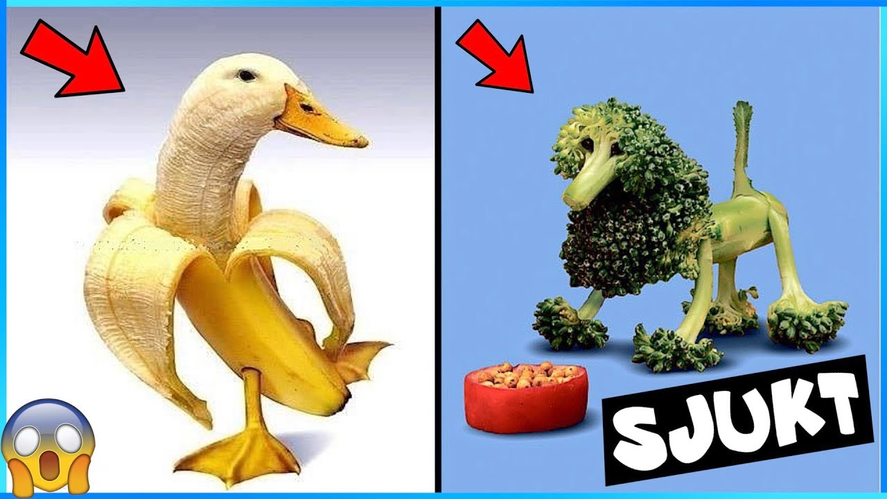 MAT SOM SER UT SOM DJUR!! (Sjukt)