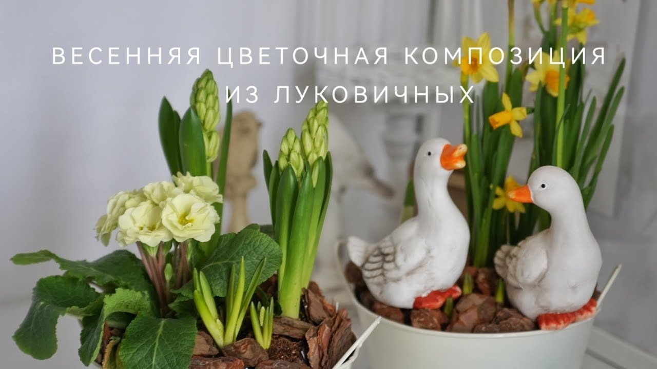 ВЕСЕННЯЯ ЦВЕТОЧНАЯ КОМПОЗИЦИЯ ИЗ ЛУКОВИЧНЫХ
