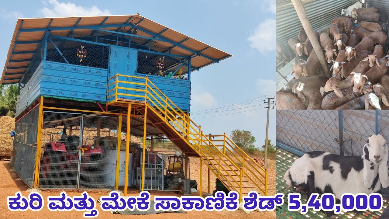 ಕುರಿ ಮತ್ತು ಮೇಕೆ ಸಾಕಾಣಿಕೆ ಶೆಡ್ 5,40,000 ! Sheep and goat farming shed