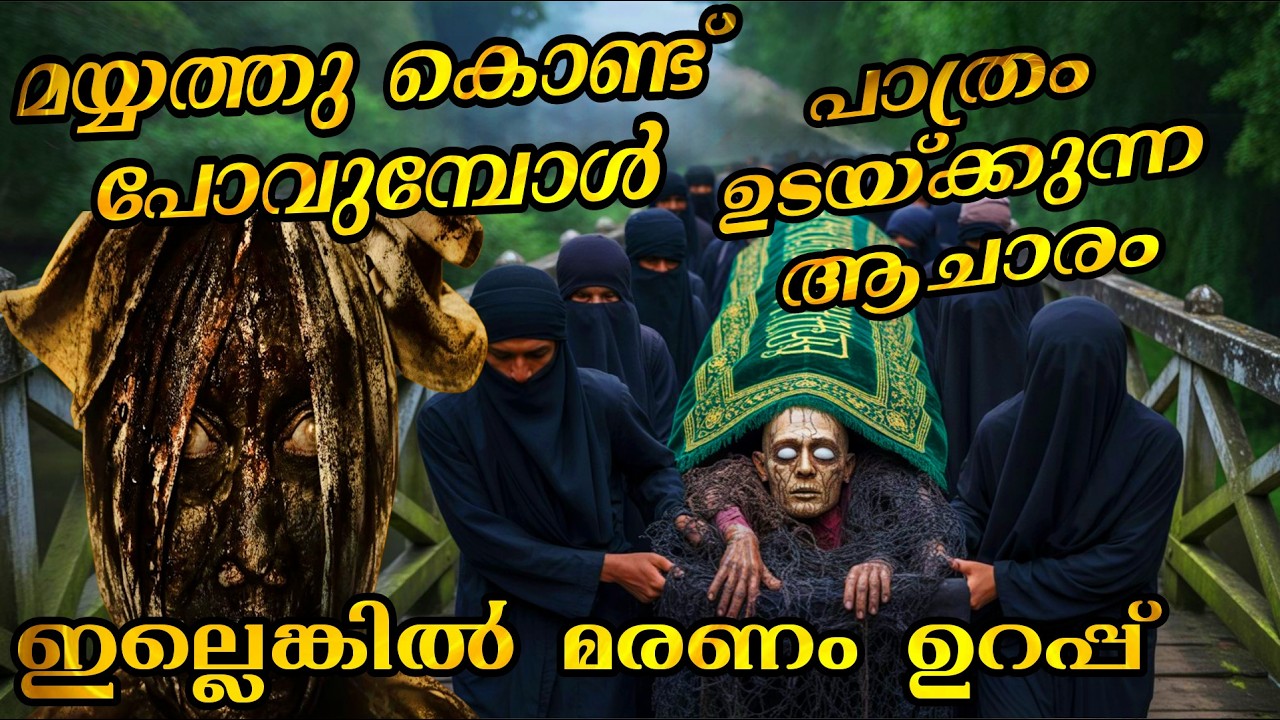 ചൊവ്വാഴ്ച മരിച്ചാൽ ഇങ്ങനെയോ 😳മികച്ച Indonesian Movie Explained in Malayalam