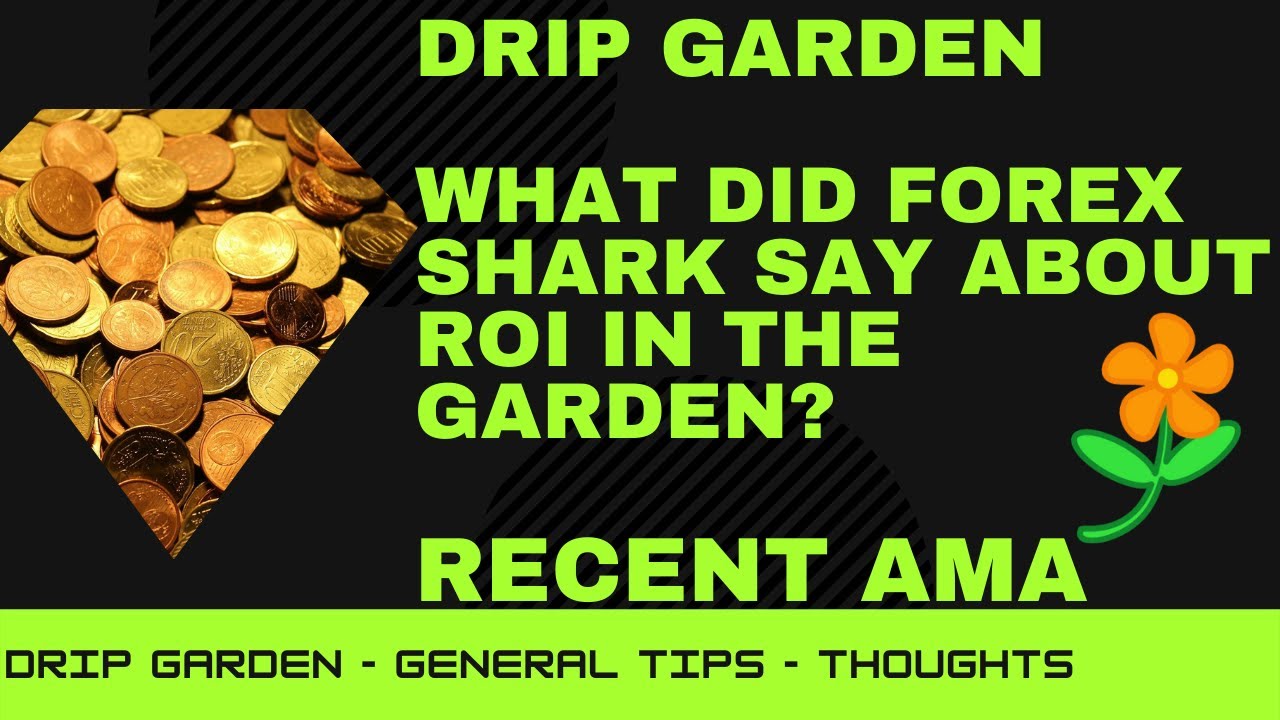 Forex Shark - DRIP Garden Penalizes ROI In This Circumstance - Clarification on Garden Dynamics!