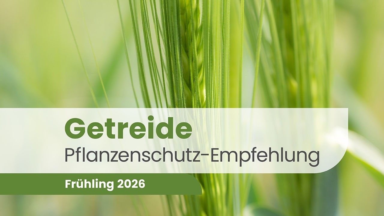 Getreide 2026 – Herbizide, Fungizide, Insektizide & Wachstumsregler | Pflanzenschutz Beratung