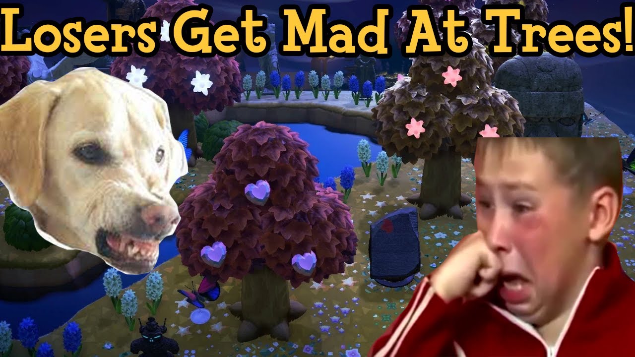 Losers Are Reporting All the Dream Islands!