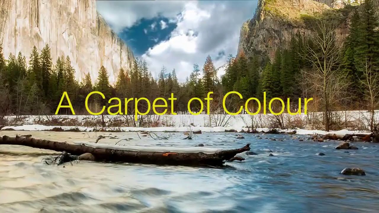 EXCEL 8 Module 6 A carpet  of colour